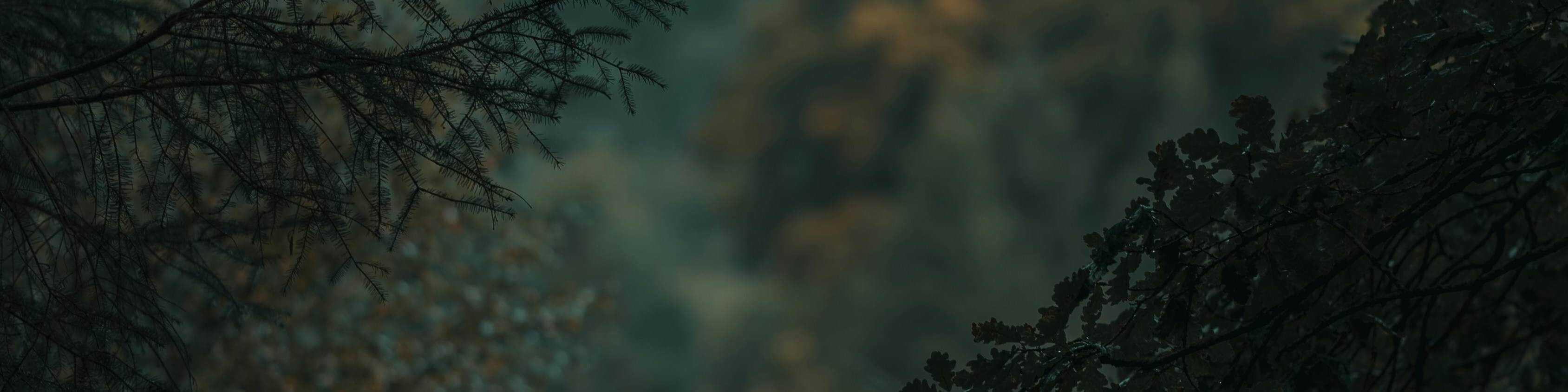 stephen-hamilton-7qJtgZcZPX0-unsplash